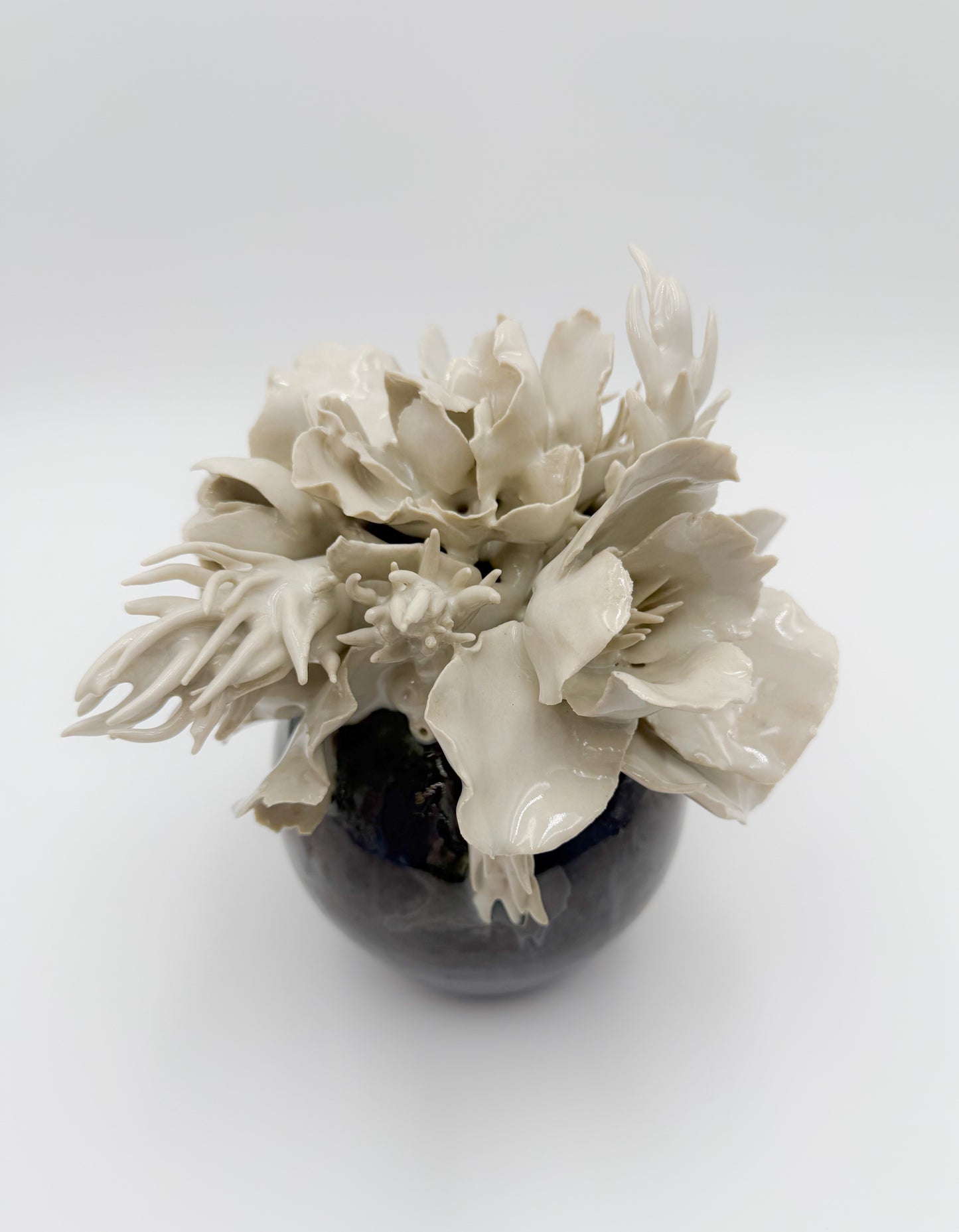 Forever in Bloom V