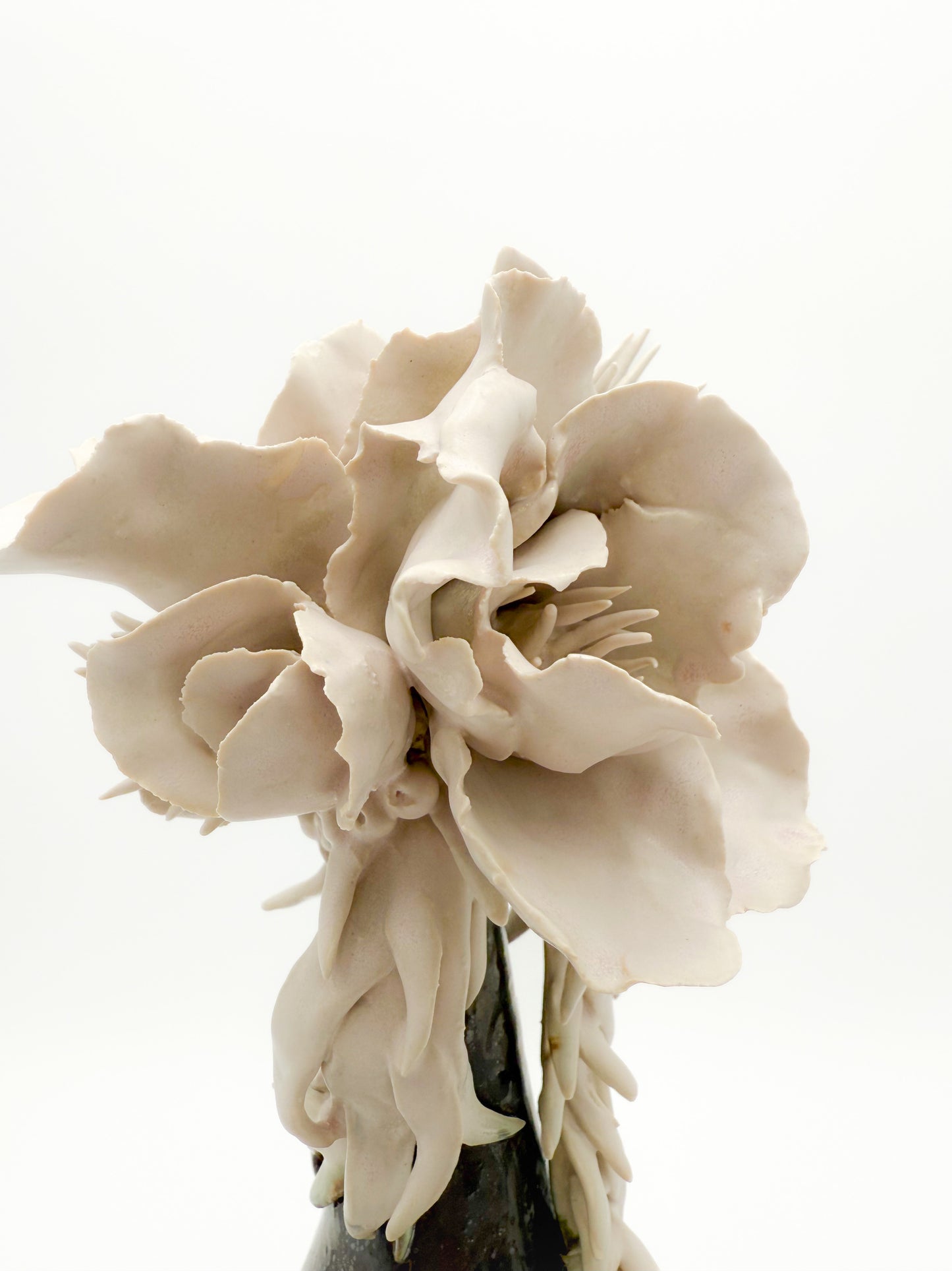 Forever in Bloom VI